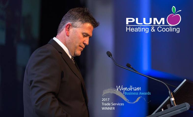 Wyndham Business Awards 2017